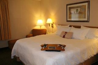 Hotel Hampton Inn Battle Creek