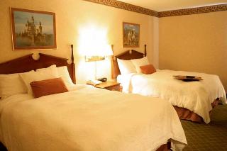 Hotel Hampton Inn Birch Run-frankenmuth