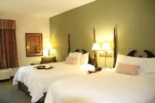 Hotel Hampton Inn Birmingham-colonnade