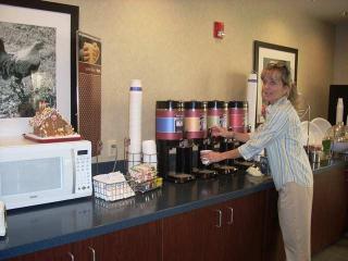 Hotel Hampton Inn Buckhannon