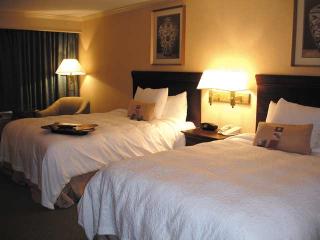 Hotel Hampton Inn Buffalo-williamsville