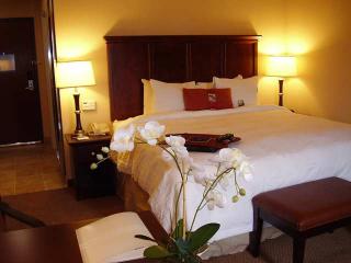 Hotel Hampton Inn Burkburnett