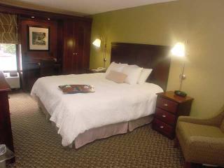 Hotel Hampton Inn Charleston-airport-coliseum