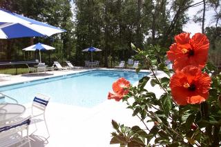 Hotel Hampton Inn Charleston-daniel Island
