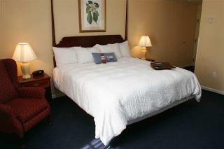 Hotel Hampton Inn Charleston-historic District