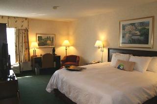 Hotel Hampton Inn Charlotte-cornelius-i-77 North