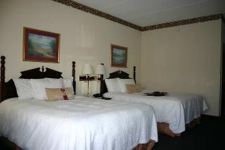 Hotel Hampton Inn Chattanooga-downtown-lookout Mount