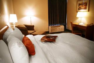 Hotel Hampton Inn Chicago-carol Stream
