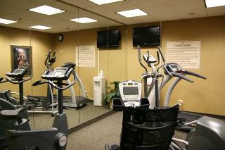 Hotel Hampton Inn Chicago-lombard-oak Brook Area