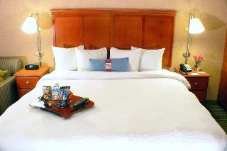 Hotel Hampton Inn Chicago-ohare International Airport