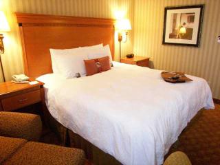 Hotel Hampton Inn Cincinnati-blue Ash