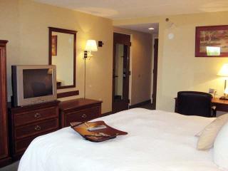 Hotel Hampton Inn Cincinnati-kings Island