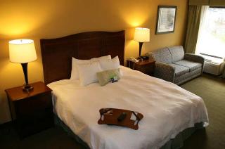 Hotel Hampton Inn Cincinnati-riverfront-downtown
