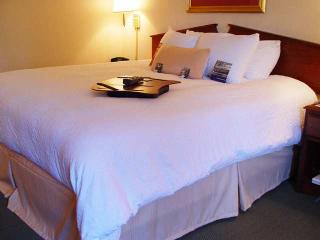 Hotel Hampton Inn Cleveland-downtown