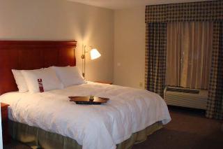 Hotel Hampton Inn Coldwater