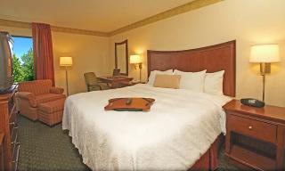 Hotel Hampton Inn Columbia-i-26 Airport