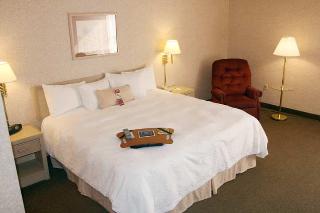 Hotel Hampton Inn Corning