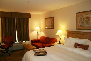 Hotel Hampton Inn Cortland