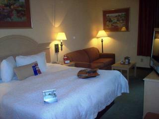 Hotel Hampton Inn Dallas-arlington-dfw-six Flags