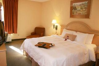 Hotel Hampton Inn Dallas-arlington-dfw-six Flags