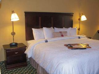 Hotel Hampton Inn Dallas-ft. Worth Airport South