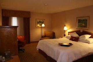 Hotel Hampton Inn Dallas-irving-las Colinas