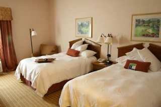 Hotel Hampton Inn Dallas-irving-las Colinas