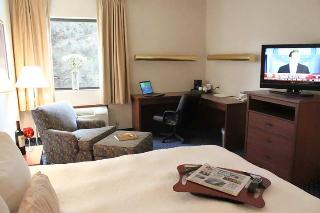 Hotel Hampton Inn Detroit-auburn Hills