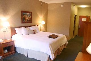 Hotel Hampton Inn Detroit-belleville-airport Area