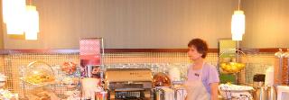 Hotel Hampton Inn Detroit-madison Heights-south Troy