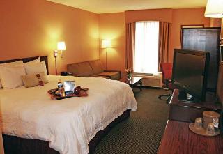 Hotel Hampton Inn Detroit-southfield