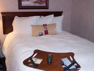 Hotel Hampton Inn Du Bois