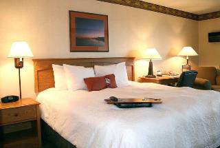 Hotel Hampton Inn Duluth