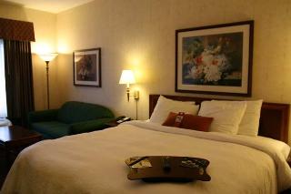 Hotel Hampton Inn East Aurora