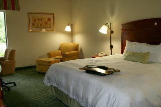 Hotel Hampton Inn Effingham