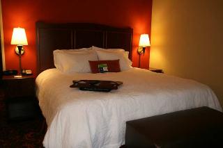 Hotel Hampton Inn Elmira-horseheads