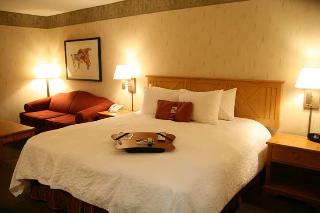 Hotel Hampton Inn Flagstaff