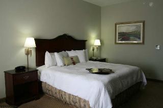 Hotel Hampton Inn Fort Stockton