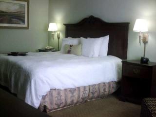 Hotel Hampton Inn Fort Stockton