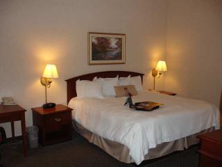 Hotel Hampton Inn Front Royal