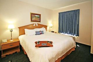 Hotel Hampton Inn Ft. Chiswell-max Meadows