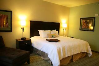 Hotel Hampton Inn Gonzales