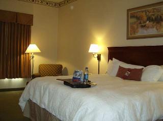 Hotel Hampton Inn Great Falls