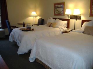 Hotel Hampton Inn Greenville Airport
