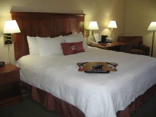 Hotel Hampton Inn Greenville-haywood