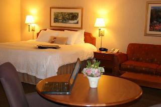Hotel Hampton Inn Harrisburg-west