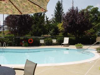Hotel Hampton Inn Harrisonburg-university