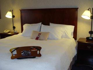 Hotel Hampton Inn Harrisonburg-university