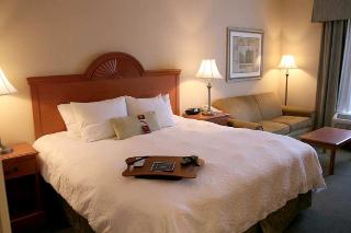 Hotel Hampton Inn Heath-newark