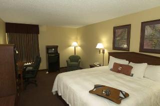 Hotel Hampton Inn Hot Springs